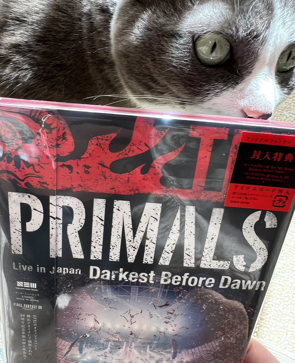 elno_16's tweet photo. PRIMALS横アリｷﾀﾜーー！！！！！！ https://t.co/IAiBp2KfKv