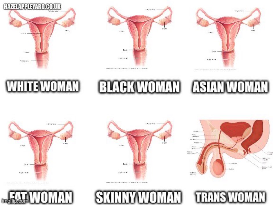 Frank Furter (@frankfurter420a) on Twitter photo 