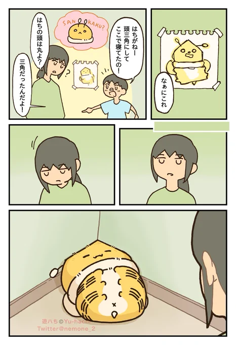 △ 