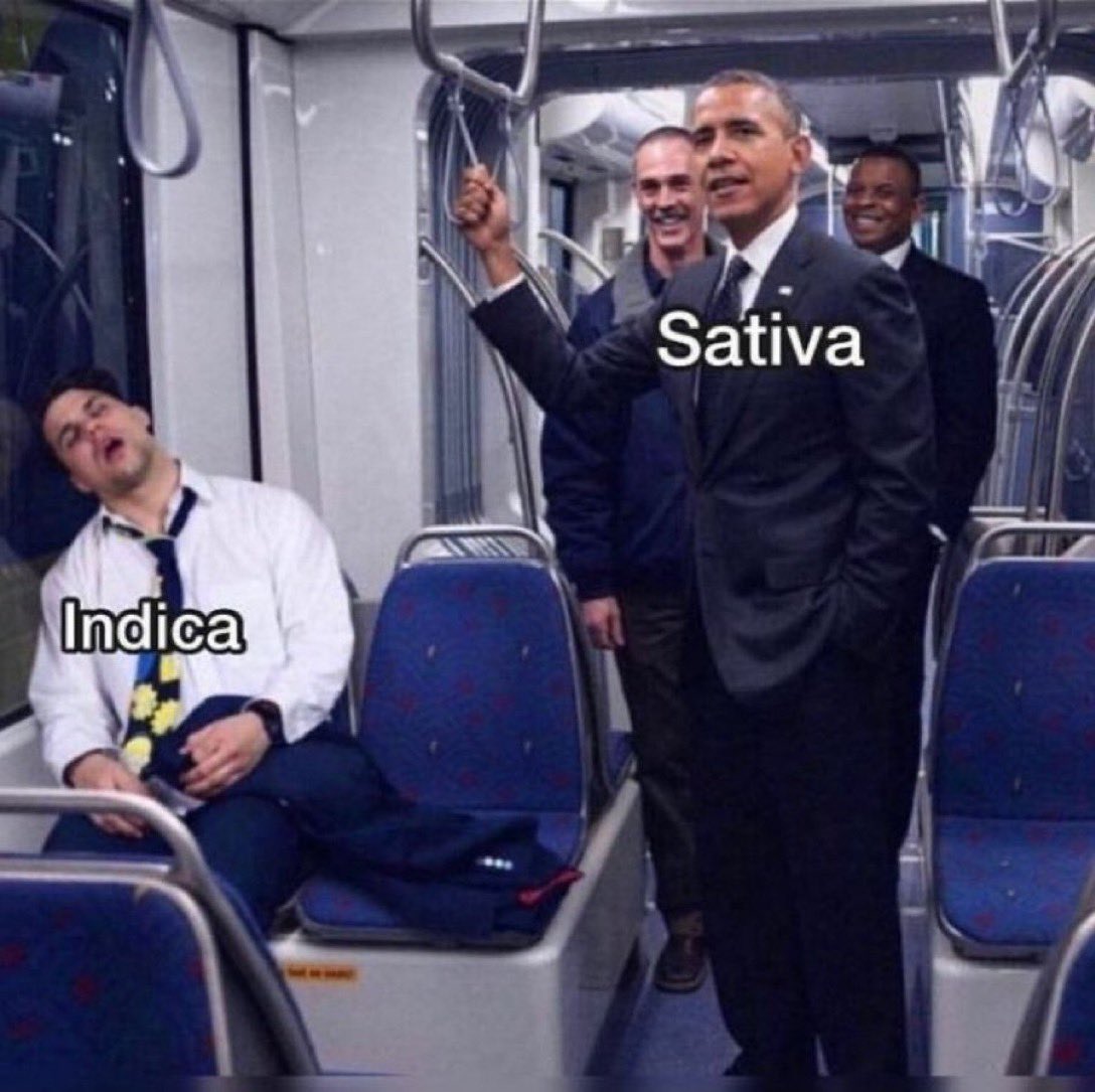 Stoner Barbie (@stonersvilla) on Twitter photo 