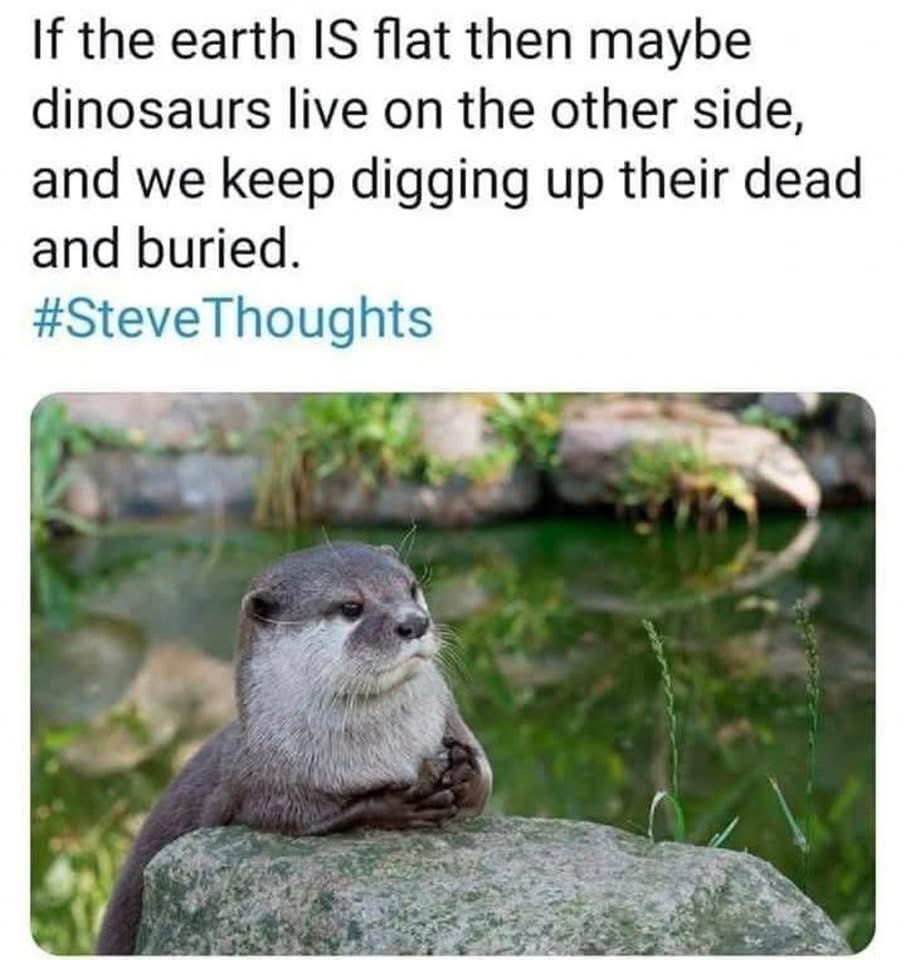 well… that’s one way to think about it.