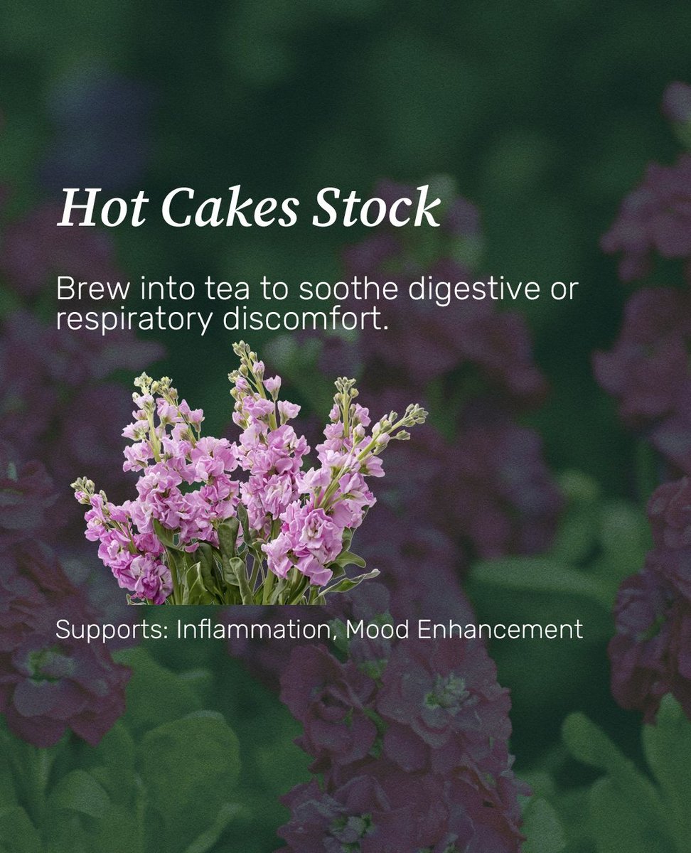 Welcome to the Farmstand pharmacy.⁠ 🌼💊⁠
⁠
Meet our favorite edible flowers - and the healing powers packed in their petals.