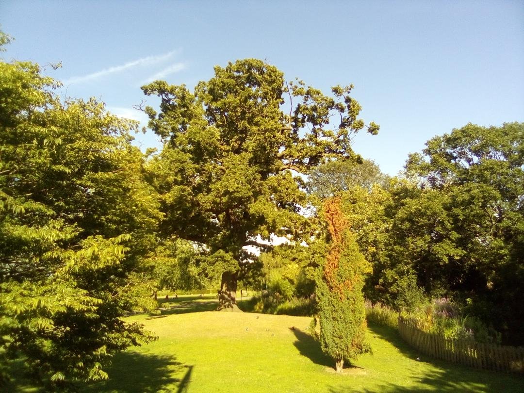 SPUGHackney's tweet image. Volunteers help to look after Springfield Park and Clapton Common helping our community. Big thanks to our dedicated @hackneycouncil Parks Staff and thanks to @SPUGHackney Secretary @sartain_stephen for these fantastic summer pictures: Please visit and enjoy our beautiful park