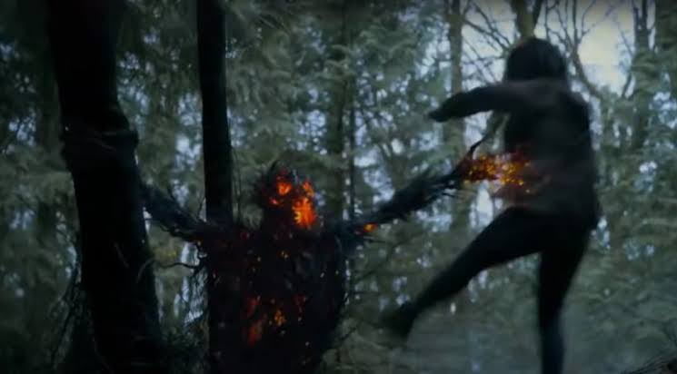 『クリムゾン』
植物と火が混じり、歪な人の形を成した魔物のデザインが邪悪で格好いい。

スリルある演出や、悍ましい真相を秘めた物語展開も秀逸。

しかし明らかに怪しい男が何事も無く死んだり、未来予知できる少女が何故能力を使えるのか？
魔物を含めたキャラ設定をもっと掘り下げて欲しかった。