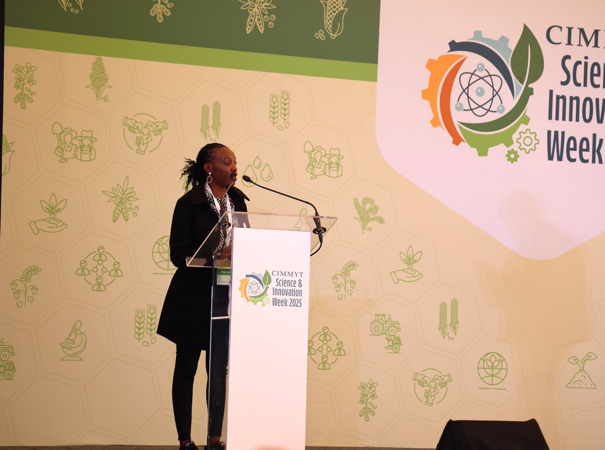 As #SIW2025 kicks off at <a href="/CIMMYT/">CIMMYT</a>, breeder Happy shared insights on how we co-create &amp; co-design breeding activities to strengthen programs &amp; boost innovation. By leveraging partnerships &amp; expertise, we’re building resilient agrifood systems for Africa. 🌍🌾

#ADCIN #DrylandCrops