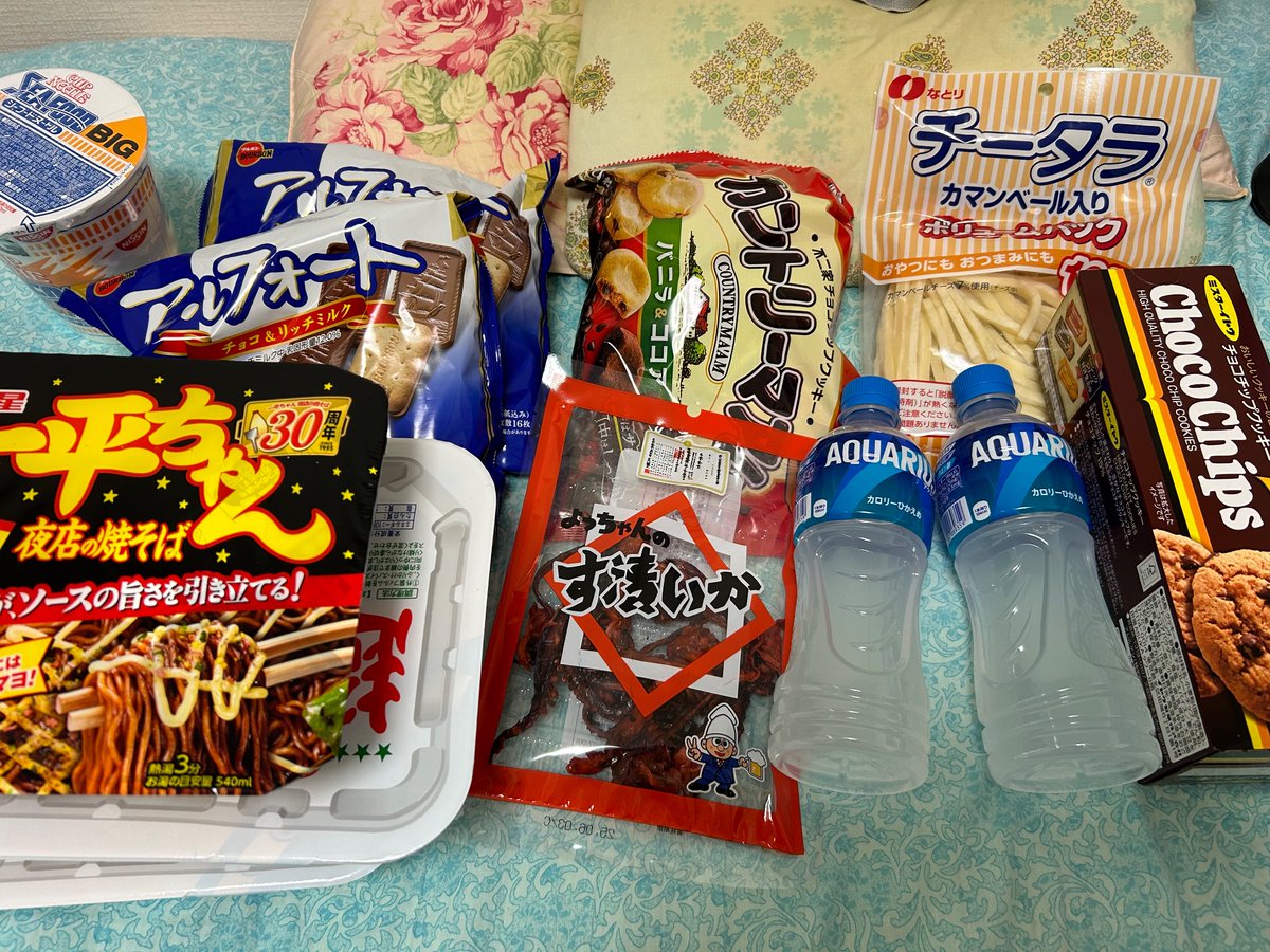 今回の物資。支給品が届きました！クエストの準備をしてください！