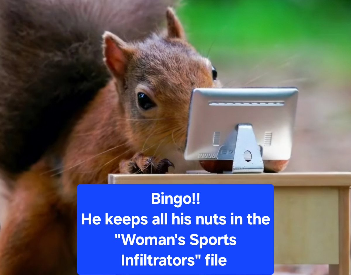 Brian Macpherson tweet media