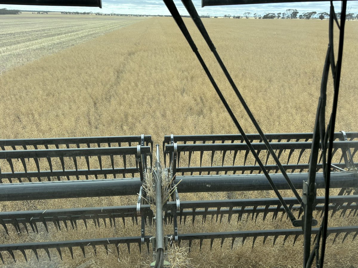 Has anyone put a typhoon into a Midwest front. How much improvement did it make harvesting canola and Lupins