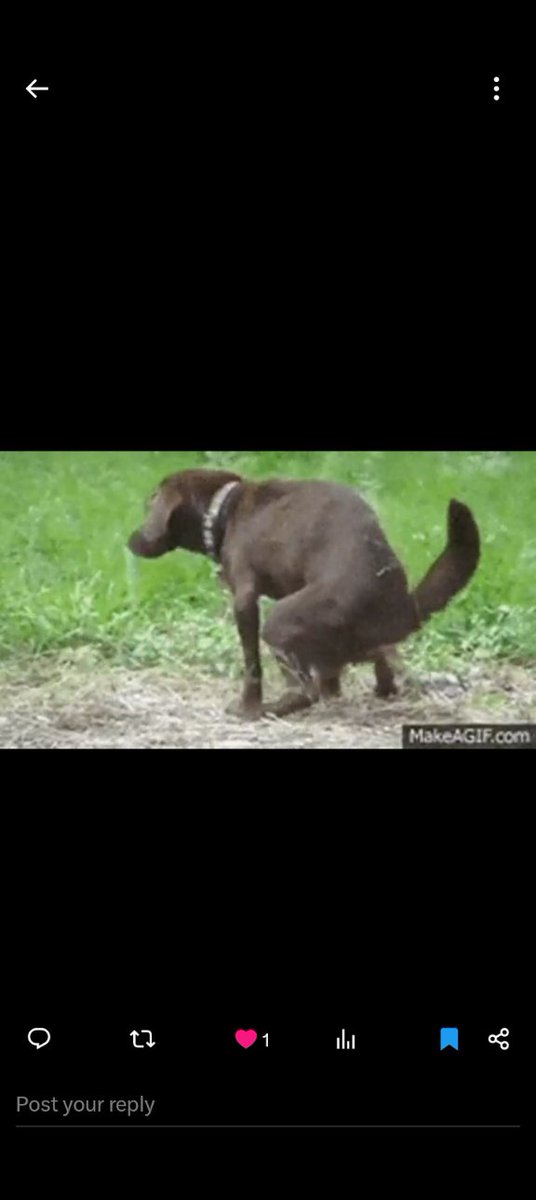 gitmo48's tweet image. 