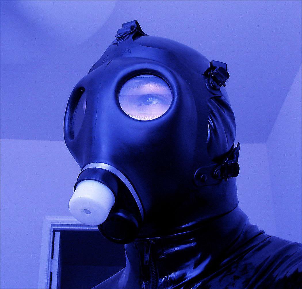 RubberCritter tweet media