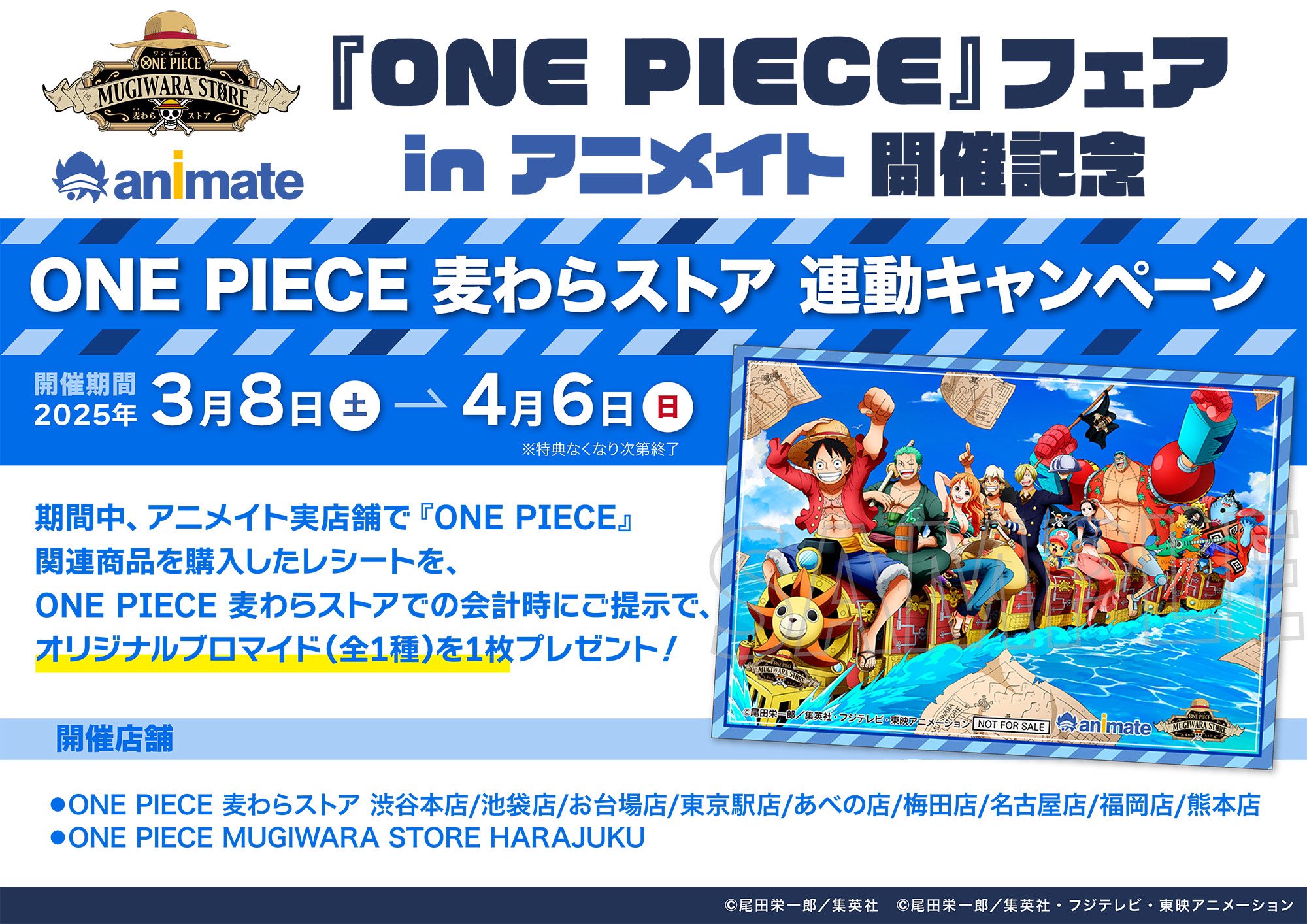 「ONE PIECE ３冊連動合計6.000名プレゼントキャンペーン」Ｂ当選品 集英社 - 【未開封】ONE PIECE3冊同時発売プレゼント Aコース