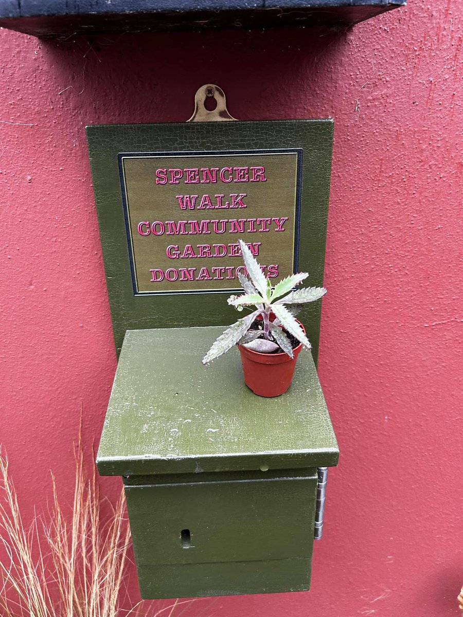 Ramsgate Town Council tweet media