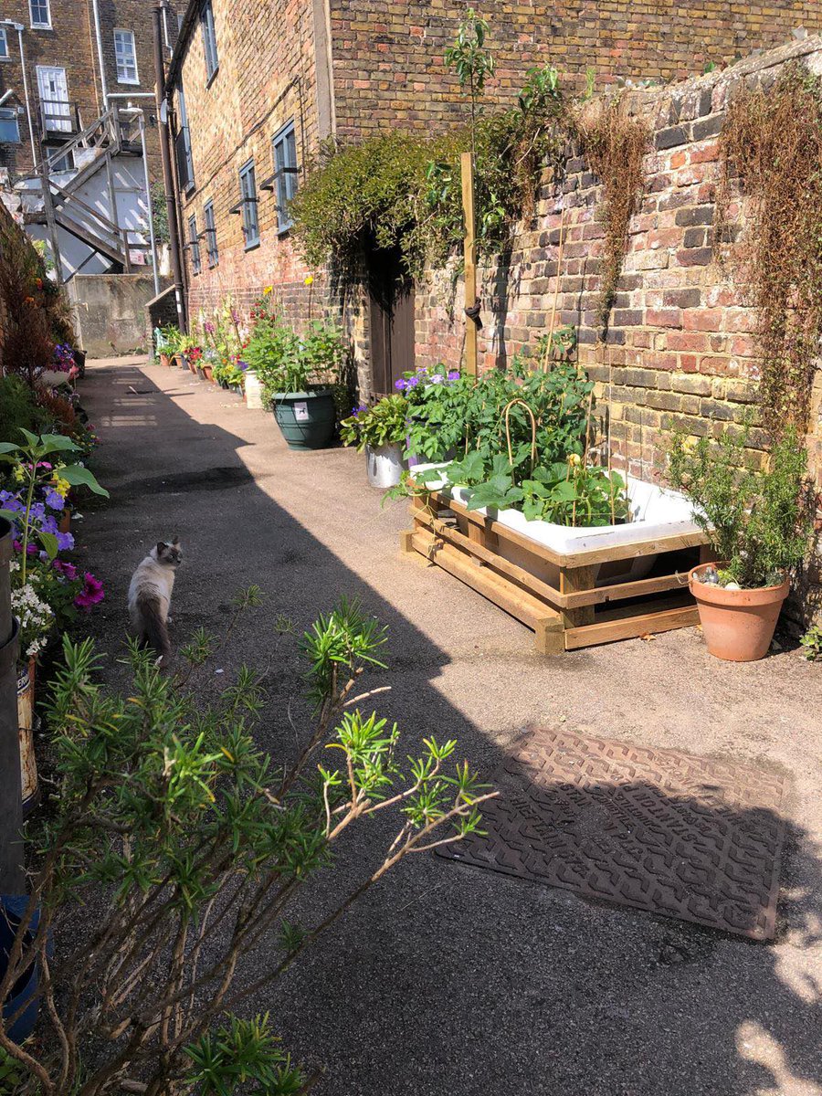 Ramsgate Town Council tweet media