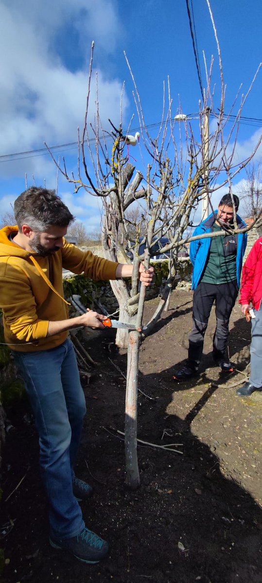 Éxito del taller de poda e injertos de árboles frutales celebrado este fin de semana en Aguilar de Campoo 

radioaguilar.com/ultimas-notici…
