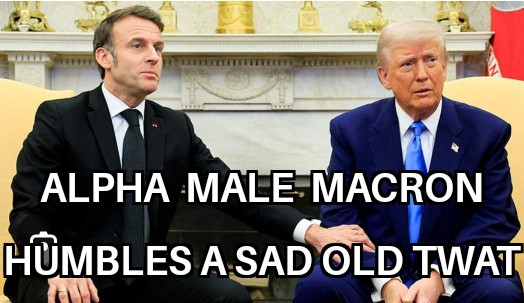 LindaPlush's tweet image. #PresidentMacron