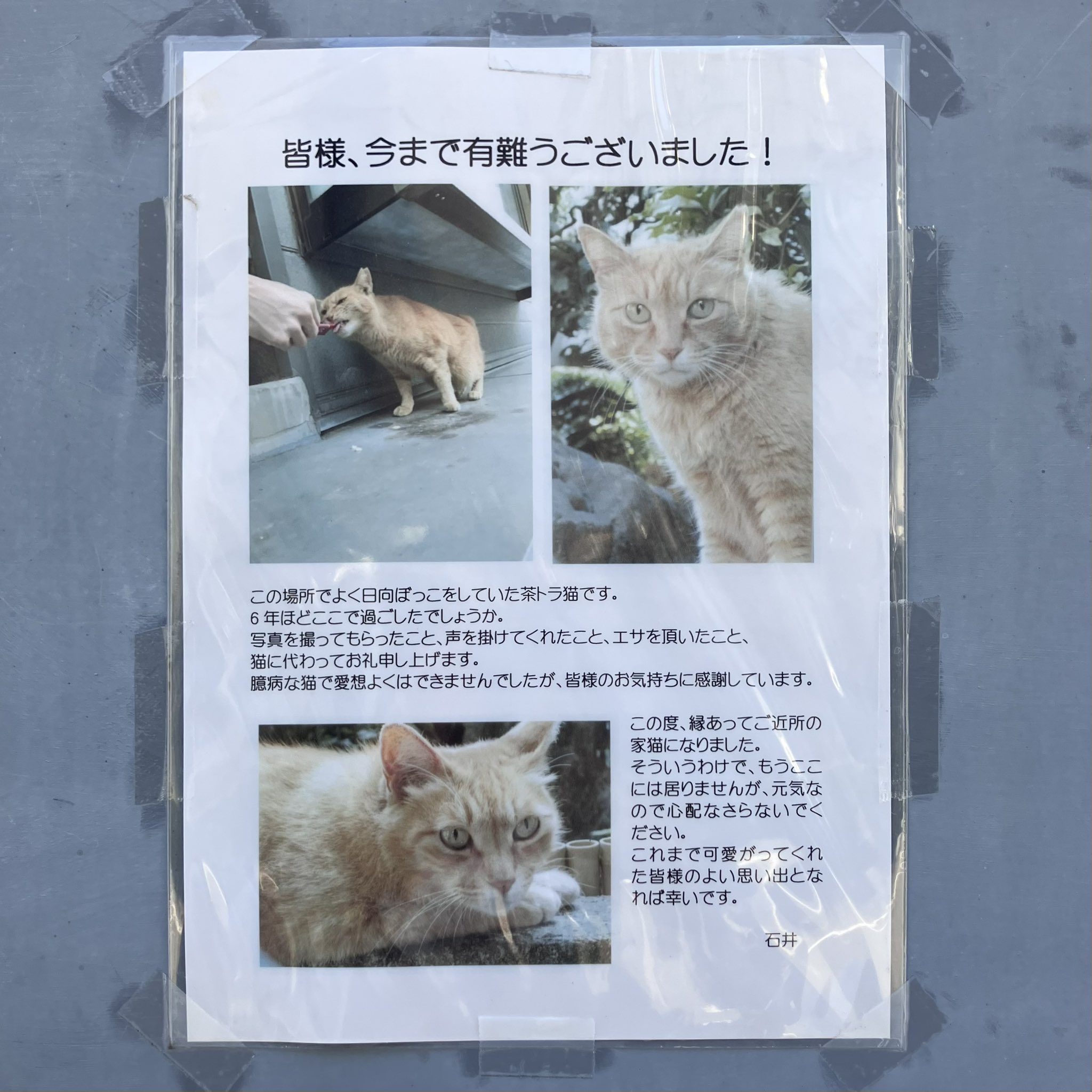 雑貨と本gururi on X: 