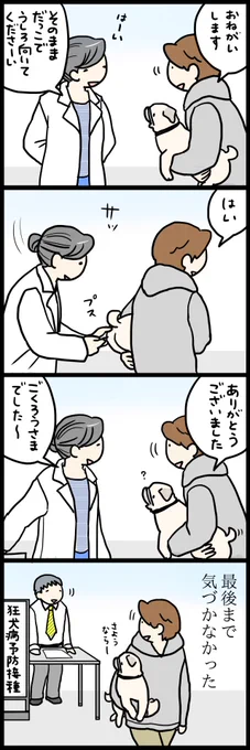 しあわせな犬 