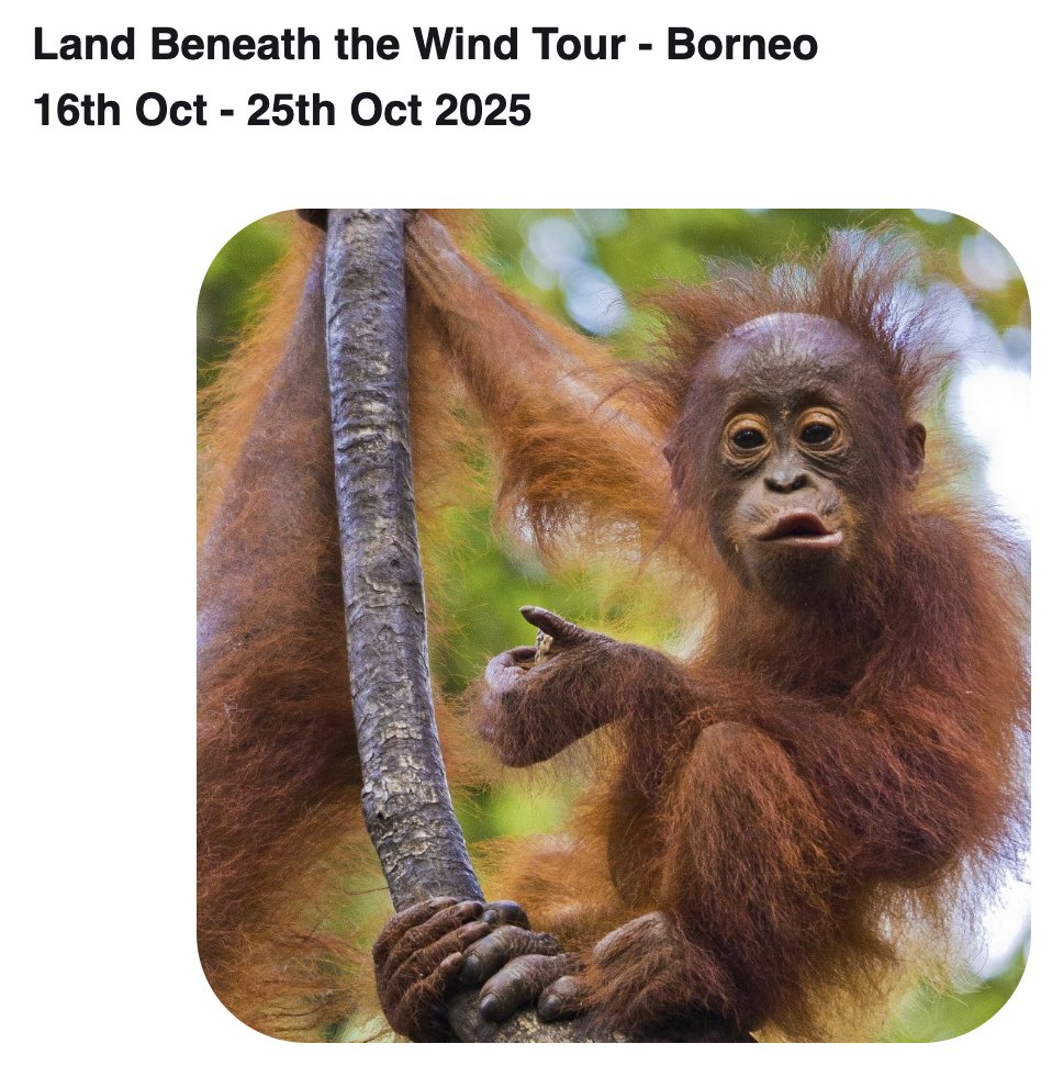 treadtheglobe tweet media