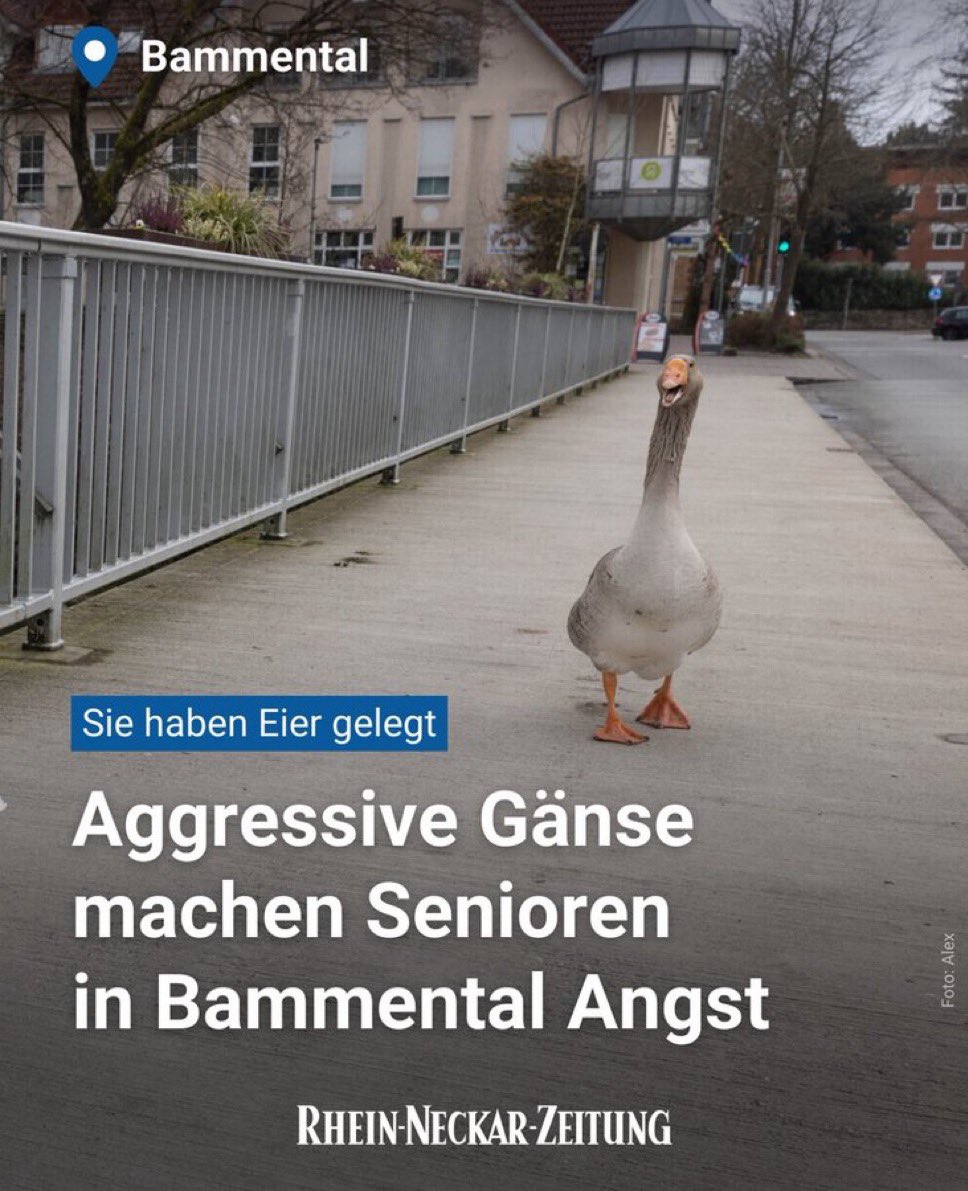 Nationalität sollte klar sein

Nur die AFD kann Deutschland retten!!!