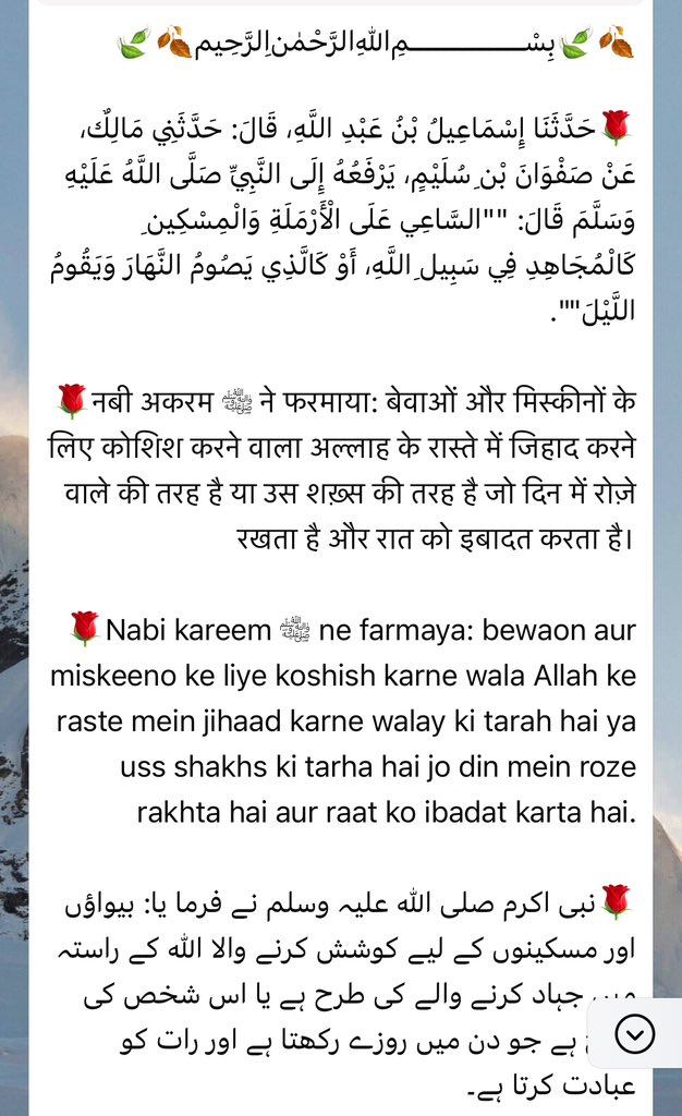 Sajid Nisar tweet media