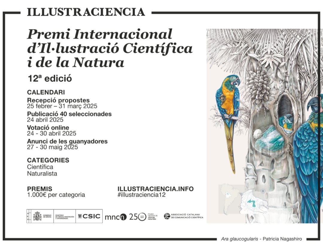 ACCC_'s tweet photo. Arriba la 12a edició d'Illustraciencia! 🖌️

L’art i la ciència s’uneixen en aquest certamen internacional que premia la millor il·lustració científica i naturalista.

🌿Si ets il·lustrador/a i t’apassiona la divulgació científica, participa👇
https://t.co/j5SCCh8iYu https://t.co/cKt0ttMLhZ