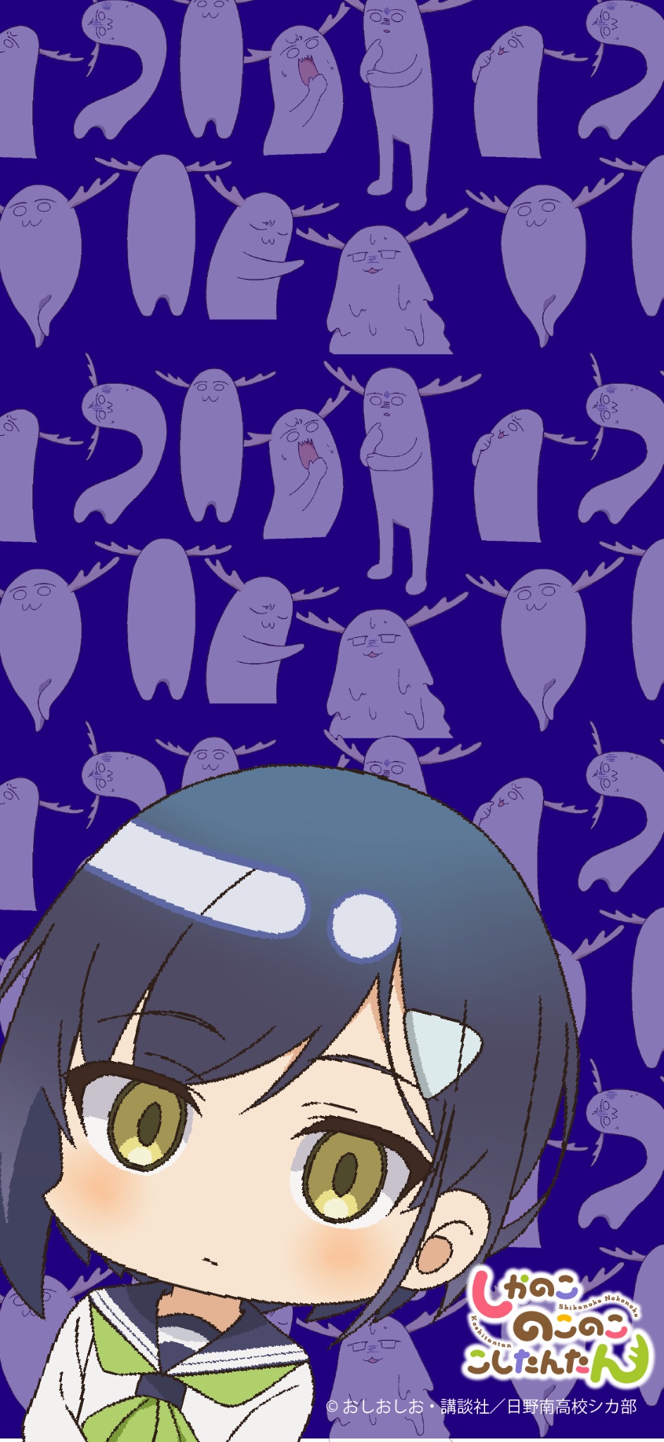 おしおしお (@oshioshio_info) / X