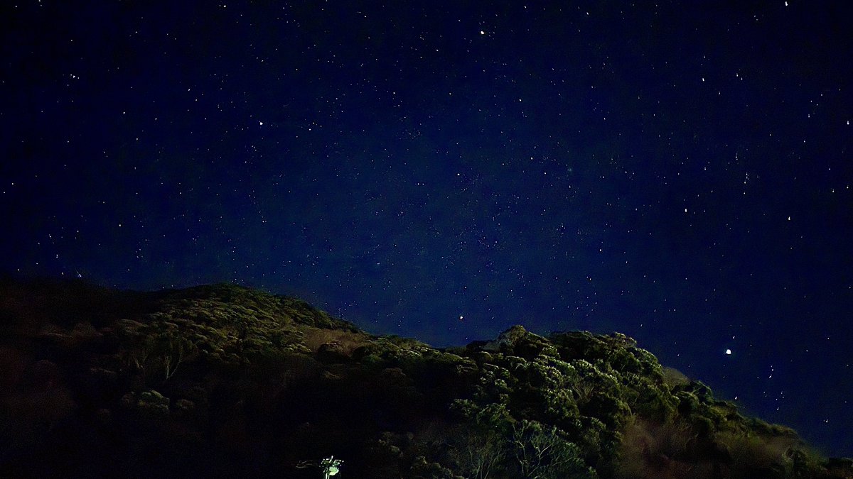 nakamuraFF11's tweet photo. そいやまたiPhoneで撮影。
星すごいー https://t.co/g4hXJn1WYQ
