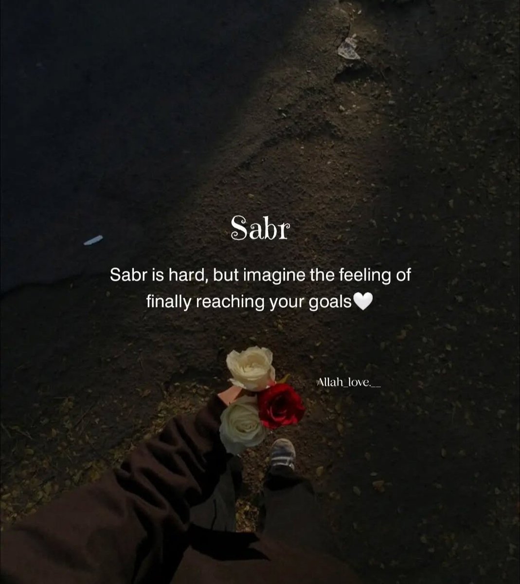 I love the righteous, though I am not one of them…\, image size:1069x1200