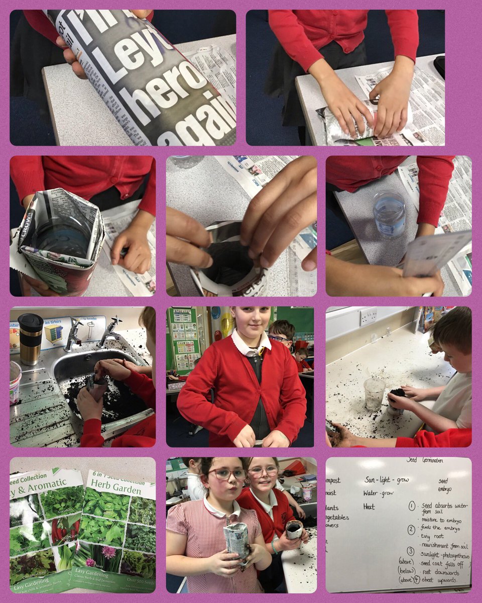 The class learned about seed germination and what is required in this process. Next they made seed posts from newspaper and planted their choice of seed. Either chilli, chives or thyme. #LaudatoSi#sustainability#life on land