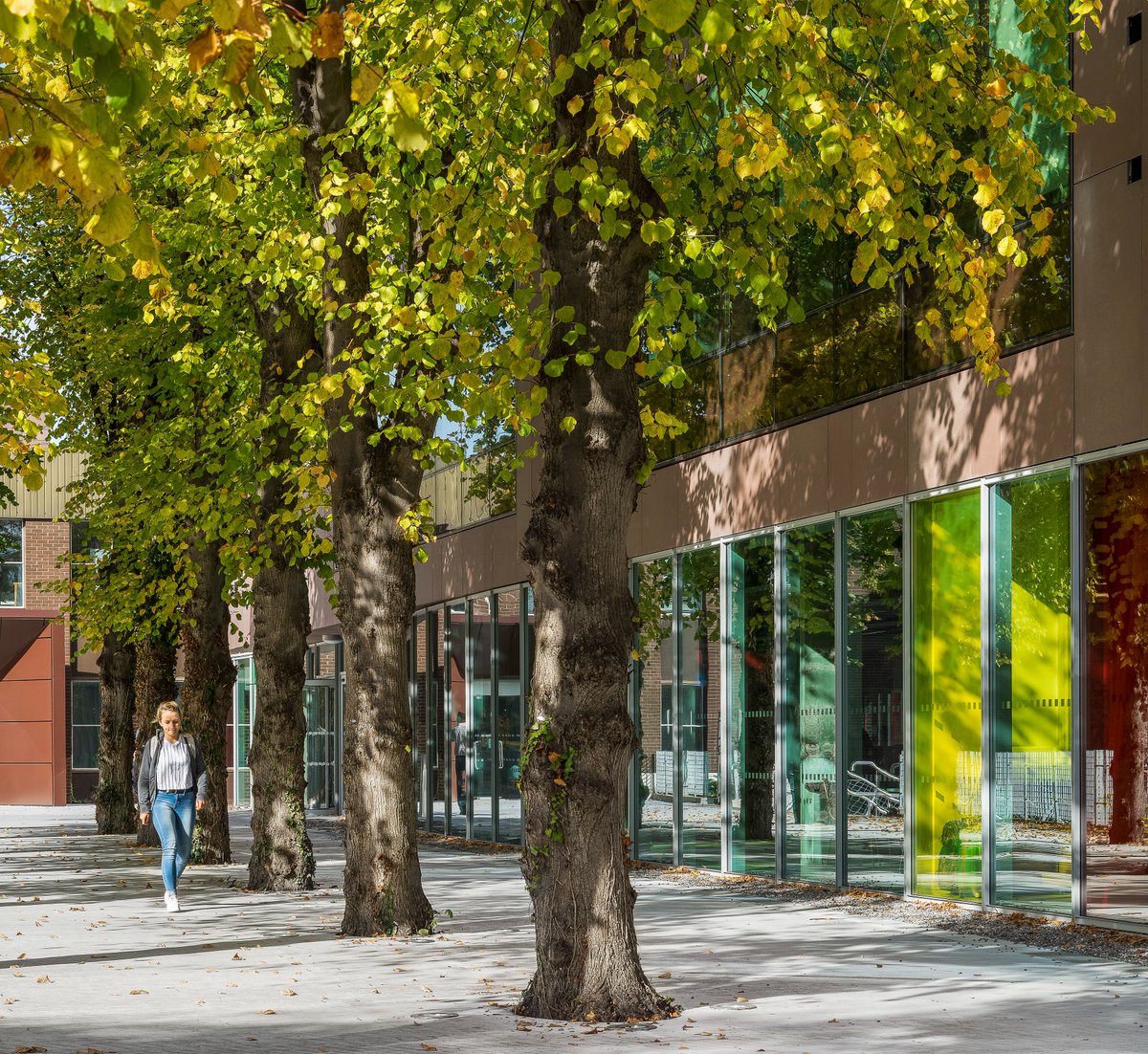 DCU Institute of Education tweet media