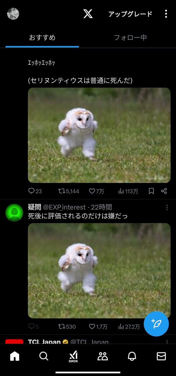ota_15078's tweet photo. もうやばいってｴｯﾎフクロウしか出てこない https://t.co/FWWpzleZII