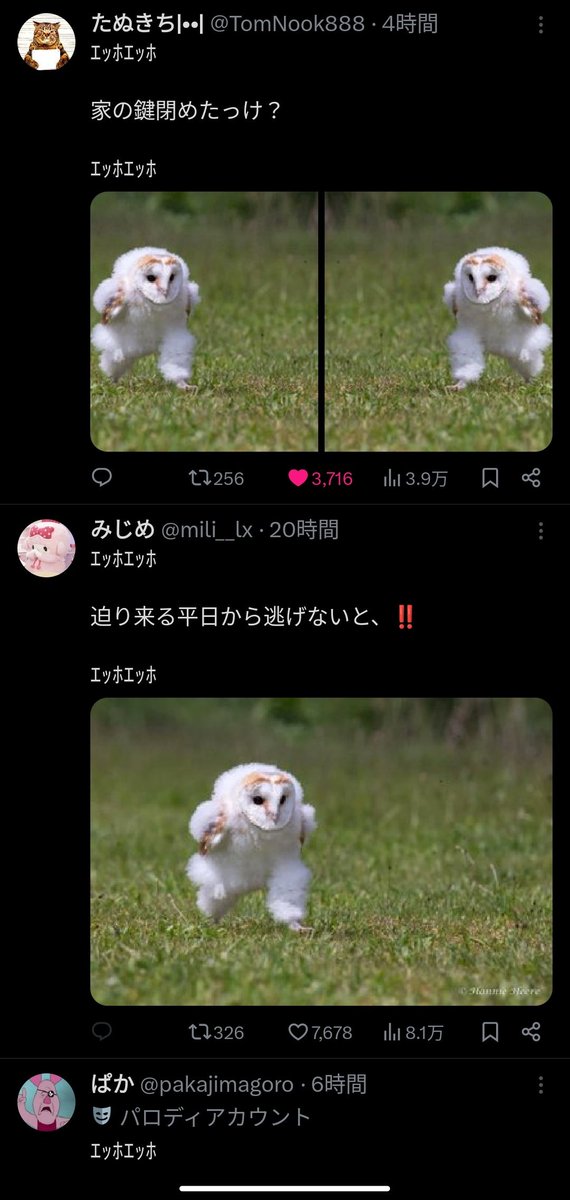 ota_15078's tweet photo. もうやばいってｴｯﾎフクロウしか出てこない https://t.co/FWWpzleZII