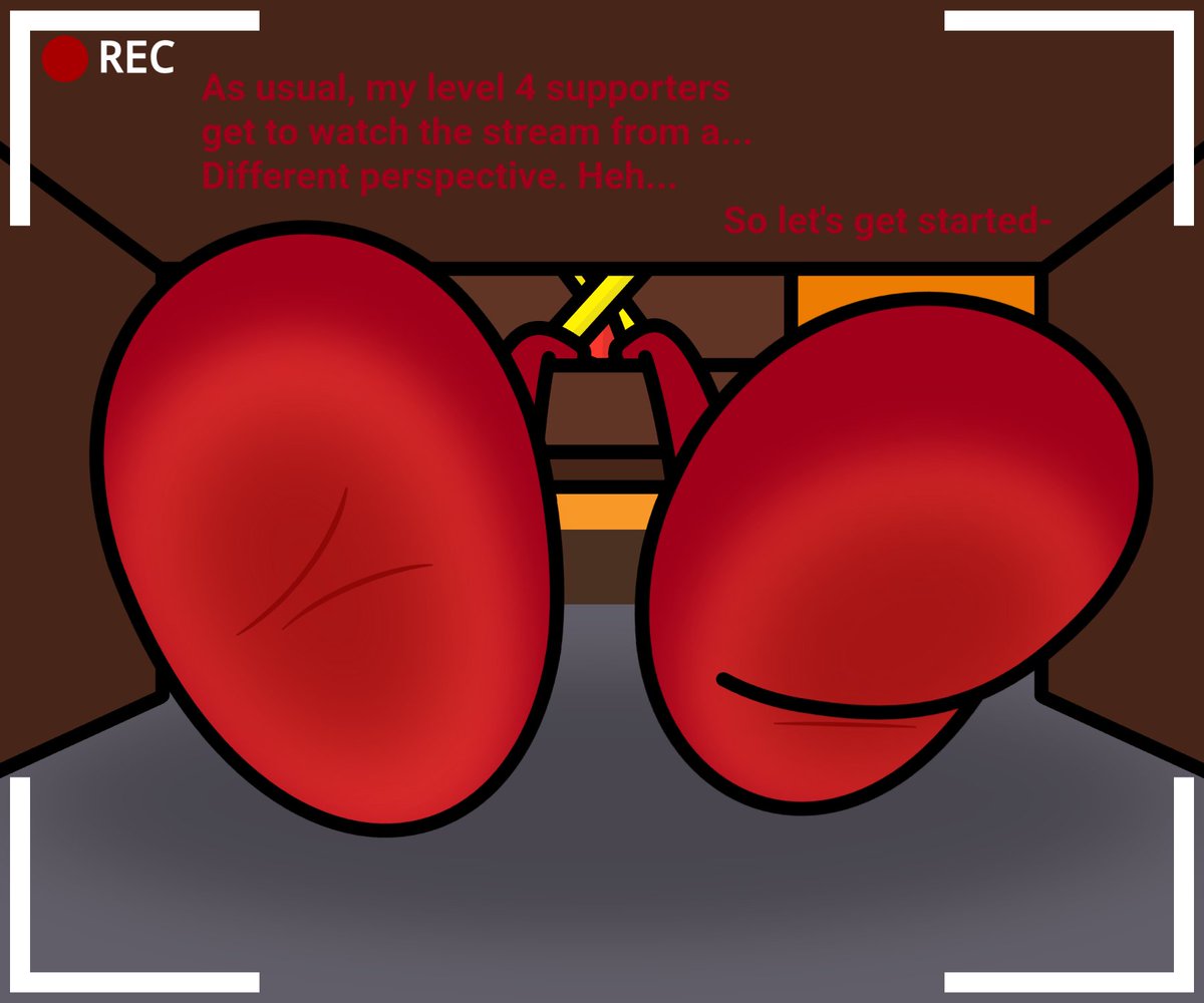 So THAT'S why he always needs 2 cameras...