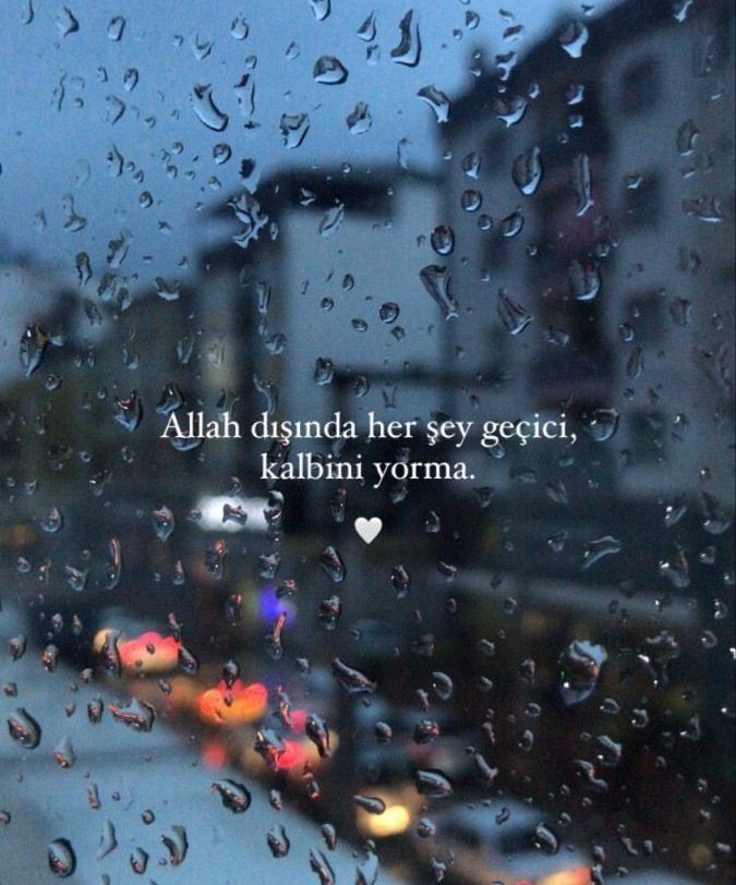 Elif ✨ (@lamelif59) on Twitter photo 