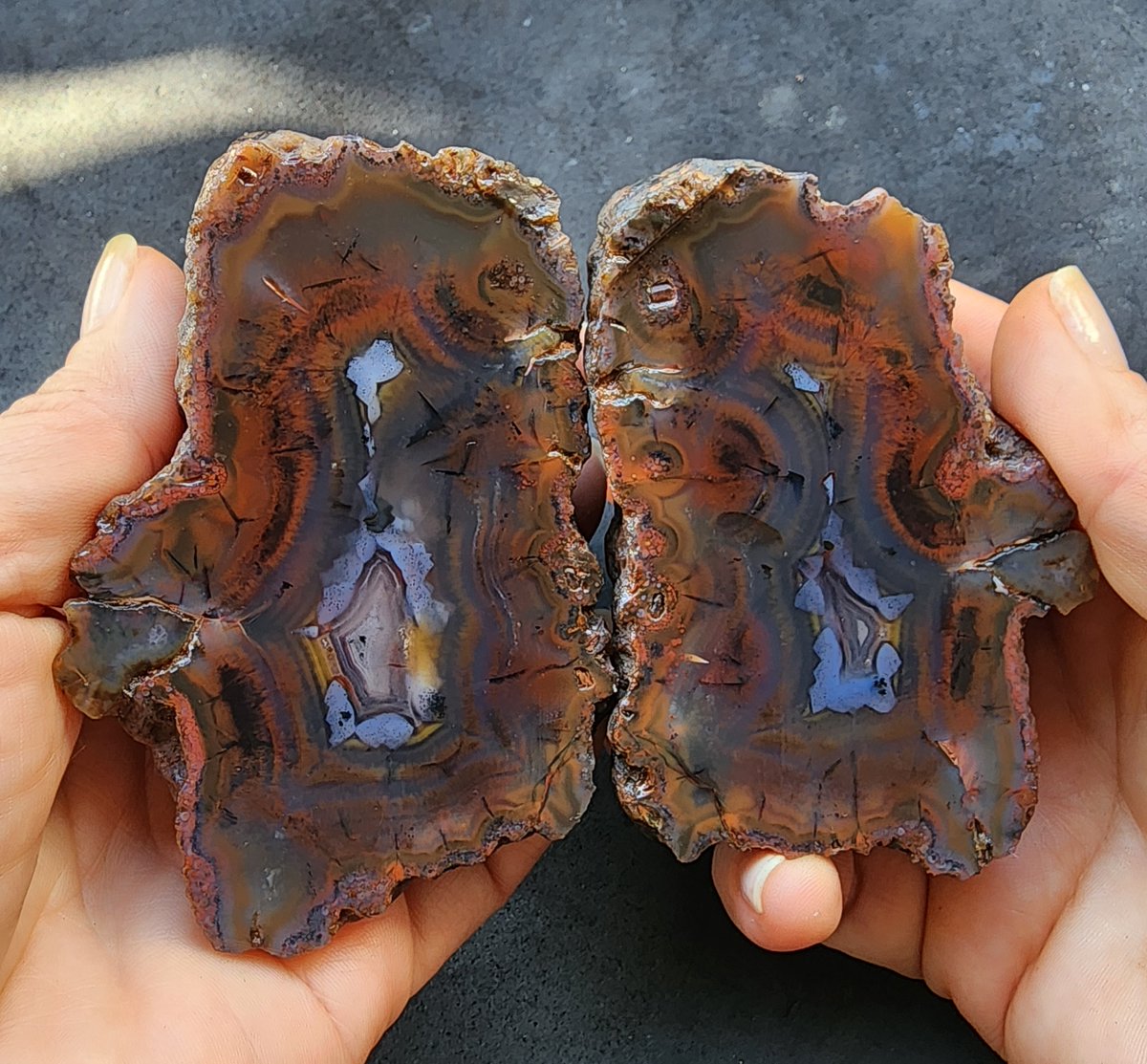 SrlGemstone's tweet photo. Unexpected colors and patterns. Nature's surprise. #agate #redagate #blueagate #dot #agate #collectible #amazing #natural #nature #NatureBeauty #lapidary #achate #earth #Geology https://t.co/pbpbkphZ02