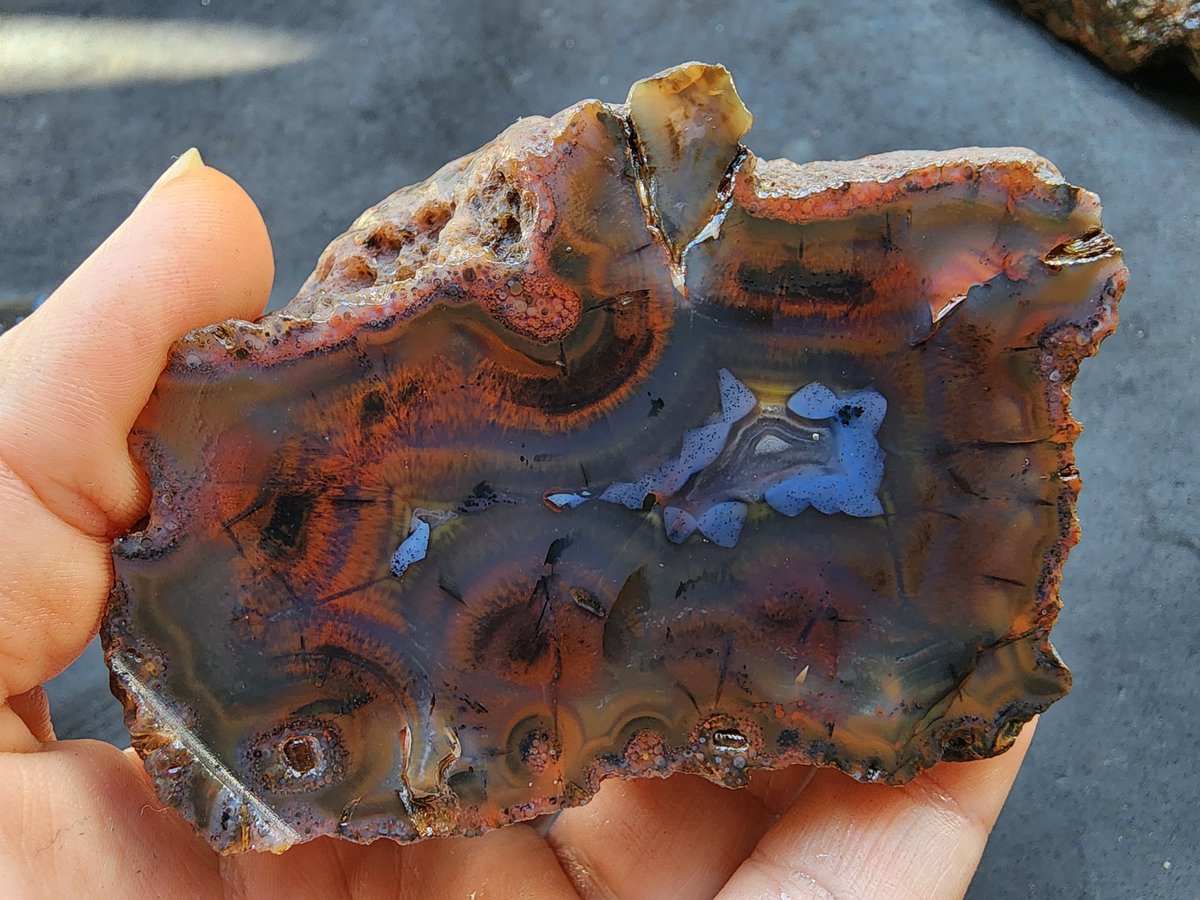 SrlGemstone's tweet photo. Unexpected colors and patterns. Nature's surprise. #agate #redagate #blueagate #dot #agate #collectible #amazing #natural #nature #NatureBeauty #lapidary #achate #earth #Geology https://t.co/pbpbkphZ02