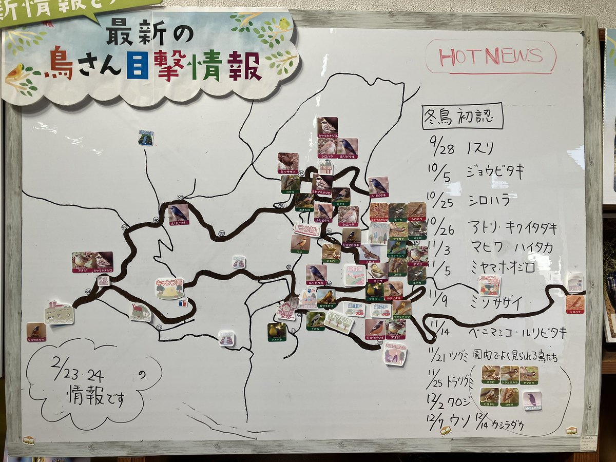 🐤野鳥情報更新しました🐤

先週末はイベント「バードウォッチング」が開催されました。ルリビタキがお祭り状態で混群も♪油山ではなかなかお目にかからないカケスも登場してくれました。帰り道にはマヒワ20羽超の群れ、その上にはノスリが旋回し、と盛りだくさんの20種を観察できました😊

＃油山