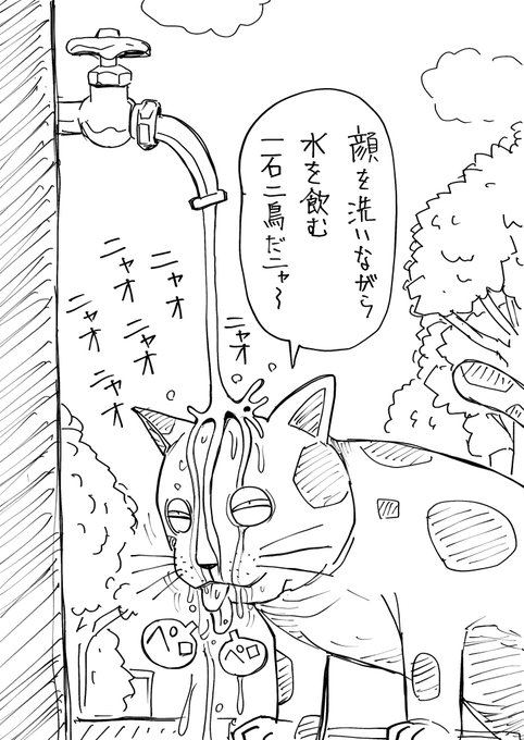 今日のエコ猫🐈‍⬛ 