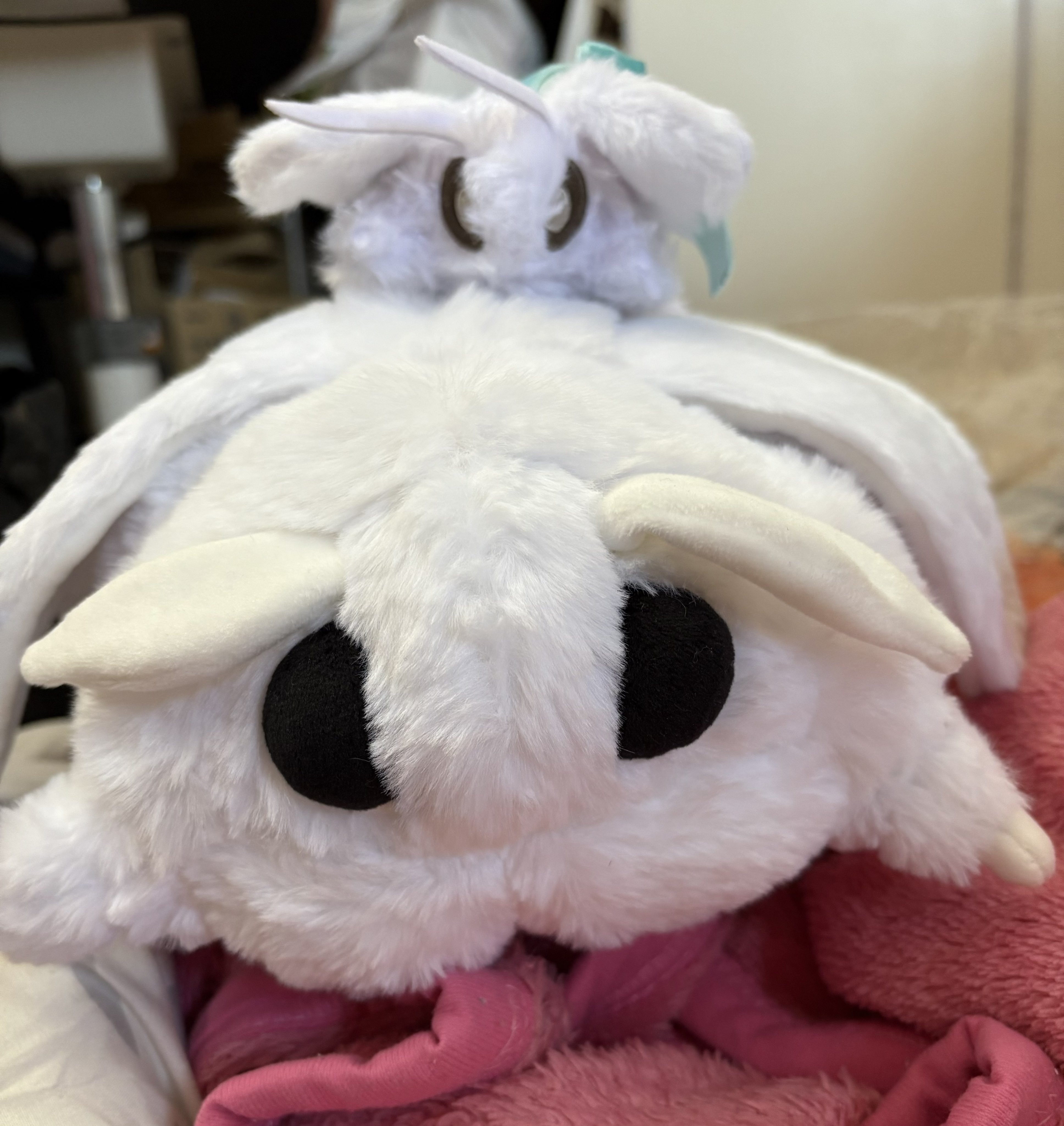 モスのいる日常SHOP (@moth_shop) / X モスのいる日常SHOP (@moth_shop) / X