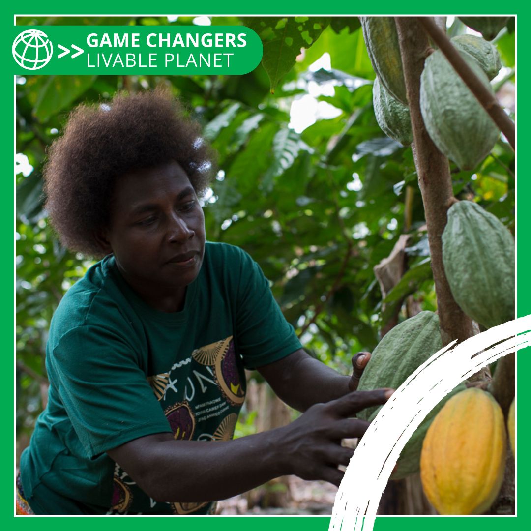 Makhtar Diop (@diop_ifc) on Twitter photo Smallholder farmers are the backbone of our food system, yet they face chronic underfunding and limited market access. Learn how <a href="/WorldBank/">World Bank</a> Group initiatives connect farmers to financial support and market opportunities, boost incomes, and strengthen the global food economy. Smallholder farmers are the backbone of our food system, yet they face chronic underfunding and limited market access. Learn how <a href="/WorldBank/">World Bank</a> Group initiatives connect farmers to financial support and market opportunities, boost incomes, and strengthen the global food economy.