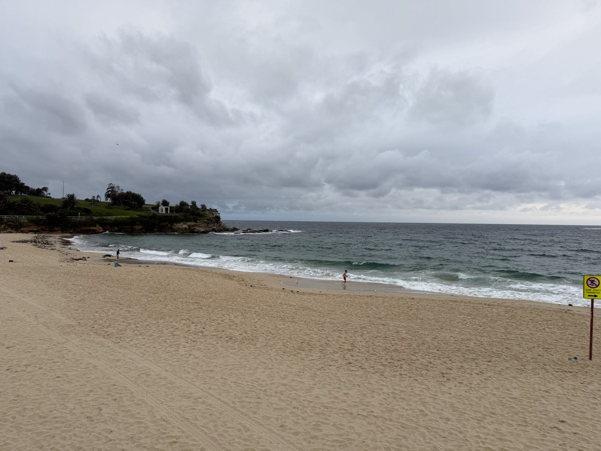 knecht644's tweet photo. Beautiful day for a morning walk at #coogeebeach before research talks @UNSW with @tiffw001, Dome Glover, and Andrea Merg. https://t.co/PqTHIibnJ7