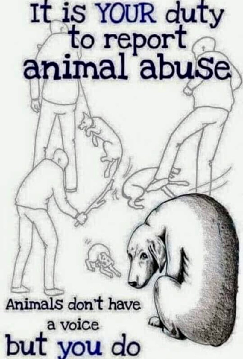 #EndAnimalExploitation #LiveVegan