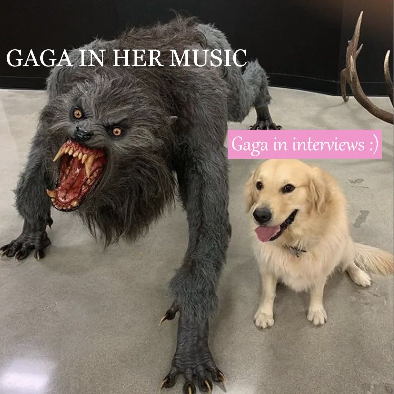 dollopgaga's tweet image. MAYHEM era be like: