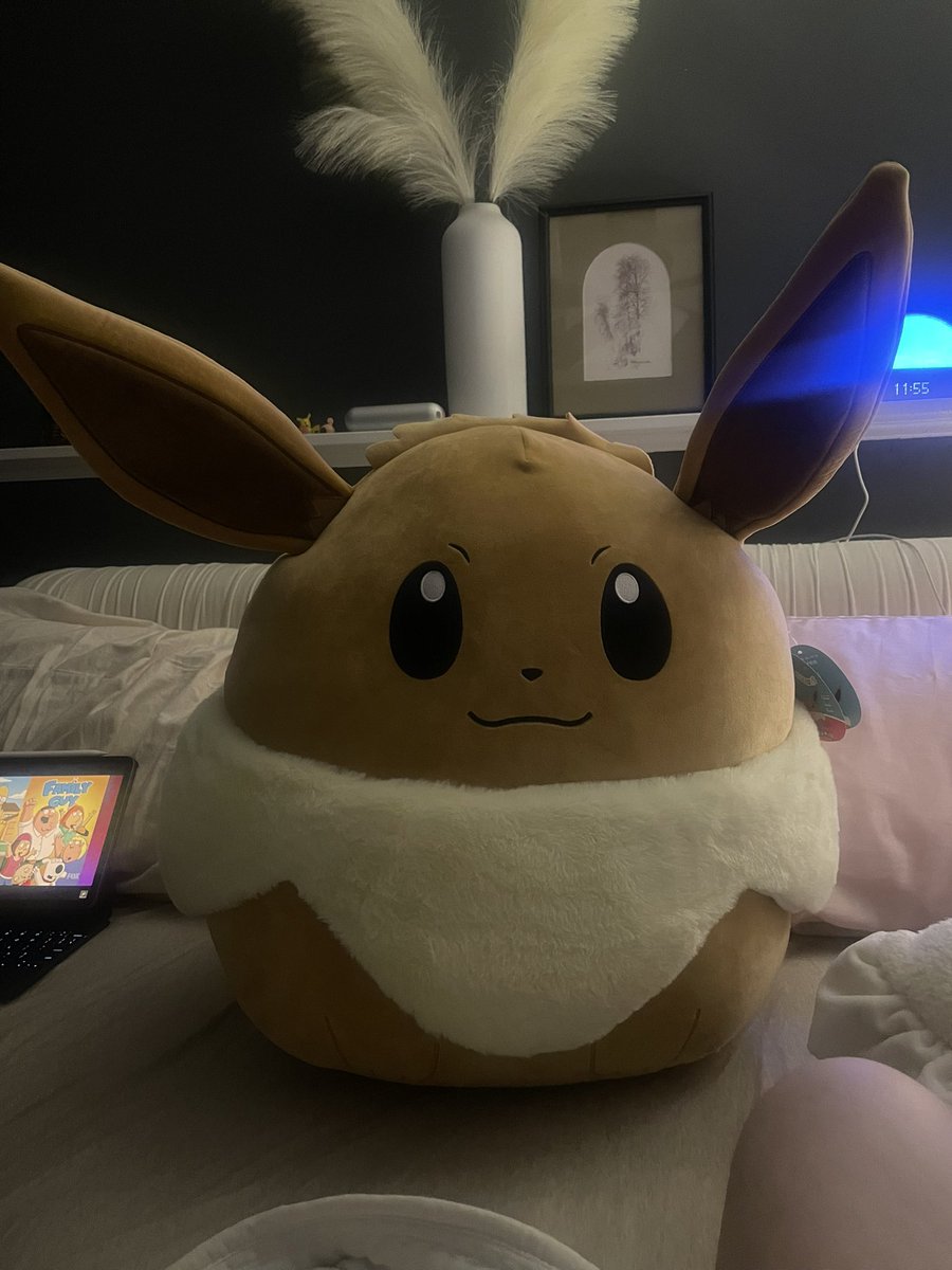 MissCherryPerez's tweet photo. We found a rare friend 🥹🥹 eevee @Pokemon @austindotxbt https://t.co/6Qcxq0dnZ4