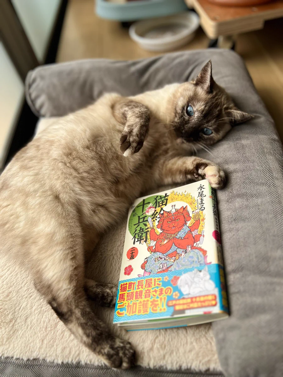 永尾まる 猫絵十兵衛御伽草紙二十五巻 発売中！よろです🌟 (@nagaomaru