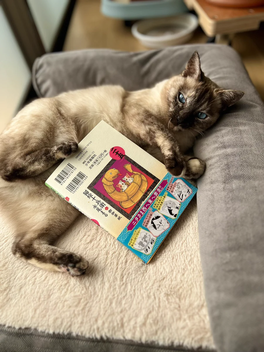 永尾まる 猫絵十兵衛御伽草紙二十五巻 発売中！よろです🌟 (@nagaomaru