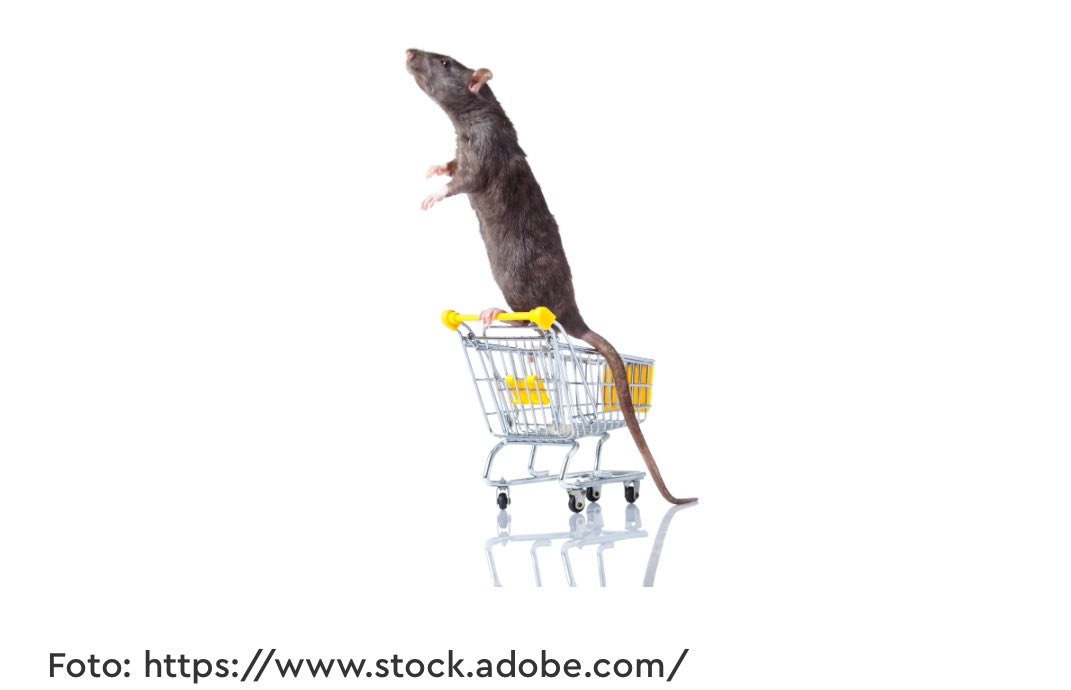 Künftig kein Stopp für Maus &amp; Co?!
BVLK übt schärfste Kritik an dem geplanten Vorhaben des Umweltbundesamtes, künftig das Beködern von Schadnagern in Innenräumen mit Fraßködern (Rodentizide Köder aus der Gruppe Antikoagulanzien) verbieten zu wollen.  bvlk.de/news/achtung-k…