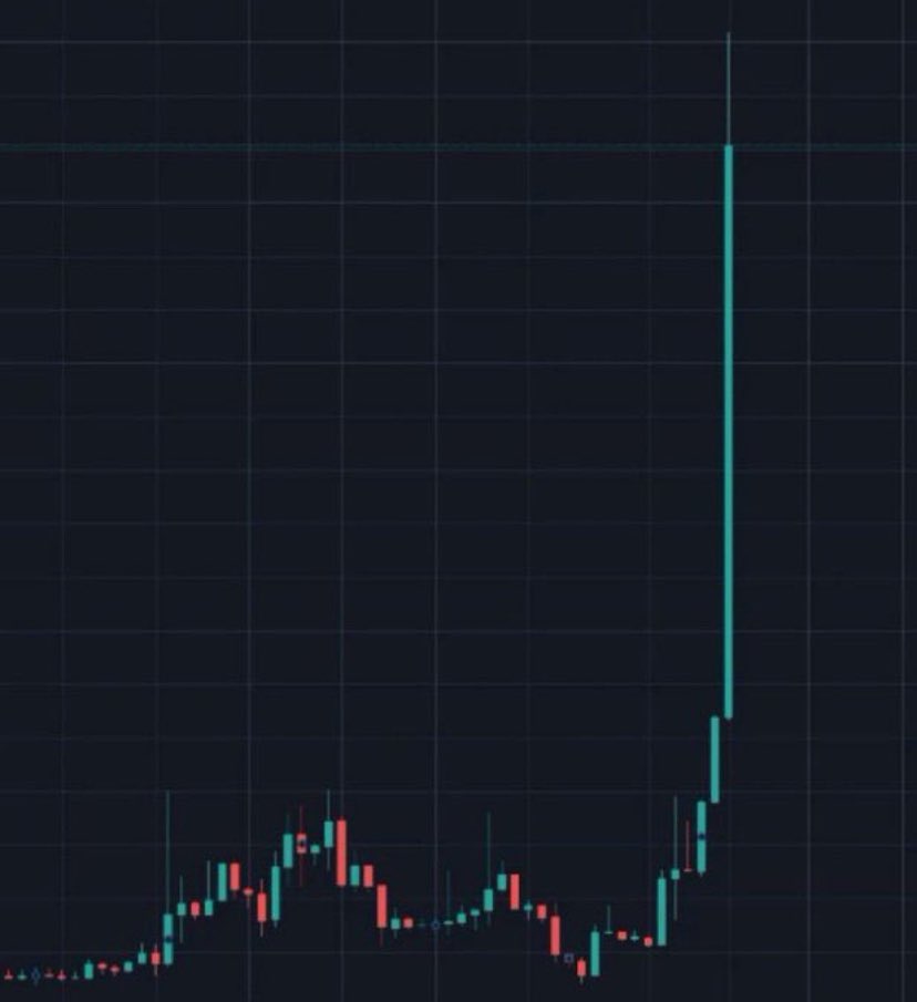 DrBullZeus tweet media