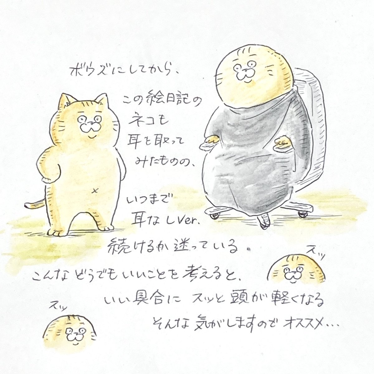hrmzkw's tweet photo. 後に引けない
#毎日平日絵日記　#ねこ
#ねこイラスト　#cat
#絵日記　#イラスト
#坊主 https://t.co/giThF1Psix