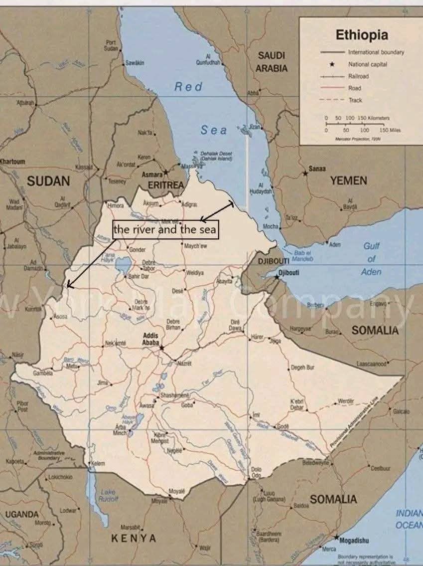 Kiya Negash /ታይሲ/ የ ኢትዮጵያ ካድሬ🇪🇹🇪🇹🇪🇹 tweet media